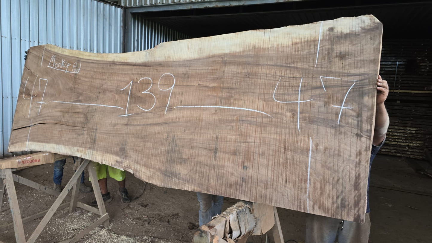 J 49