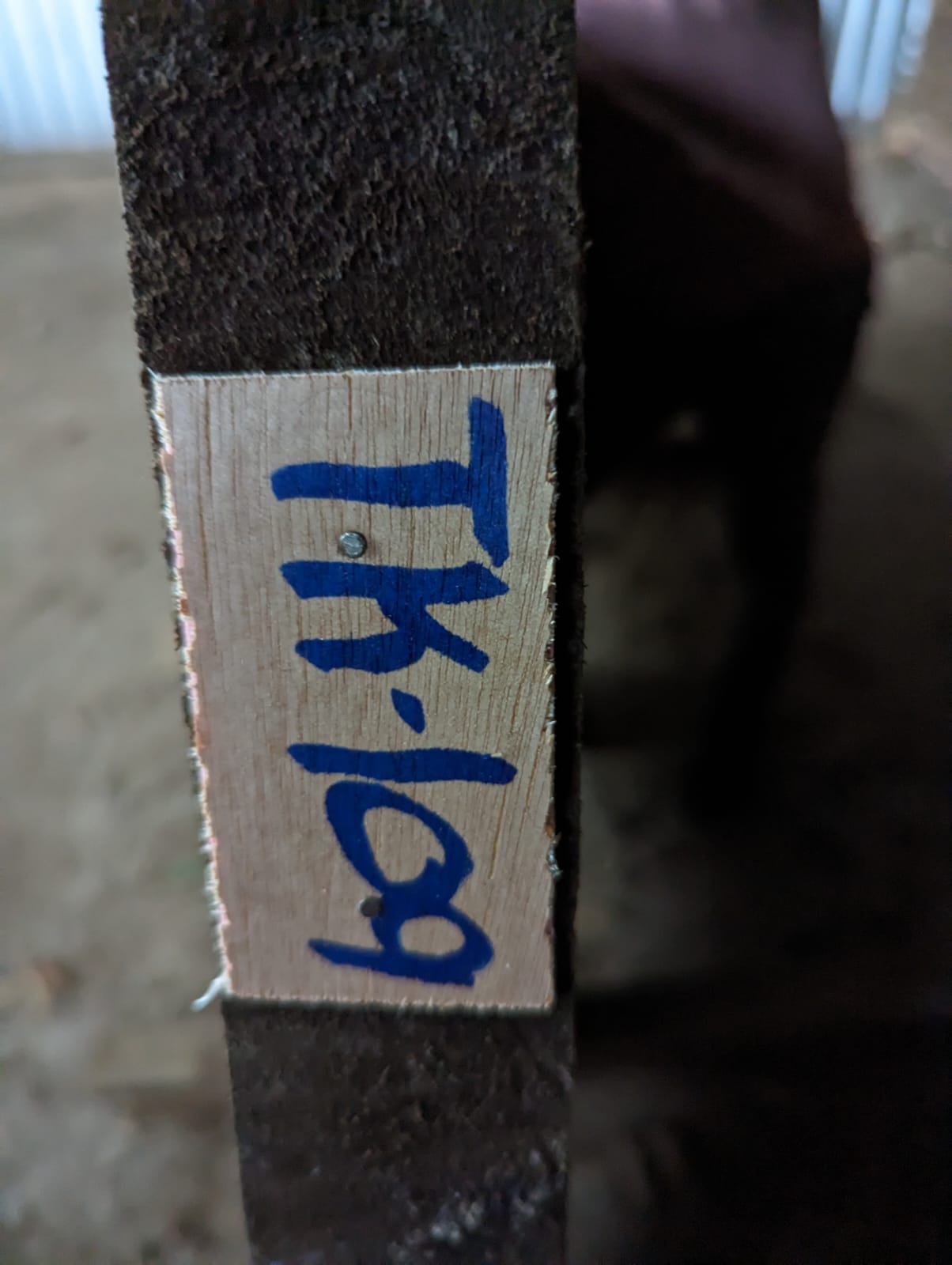 Tk 109