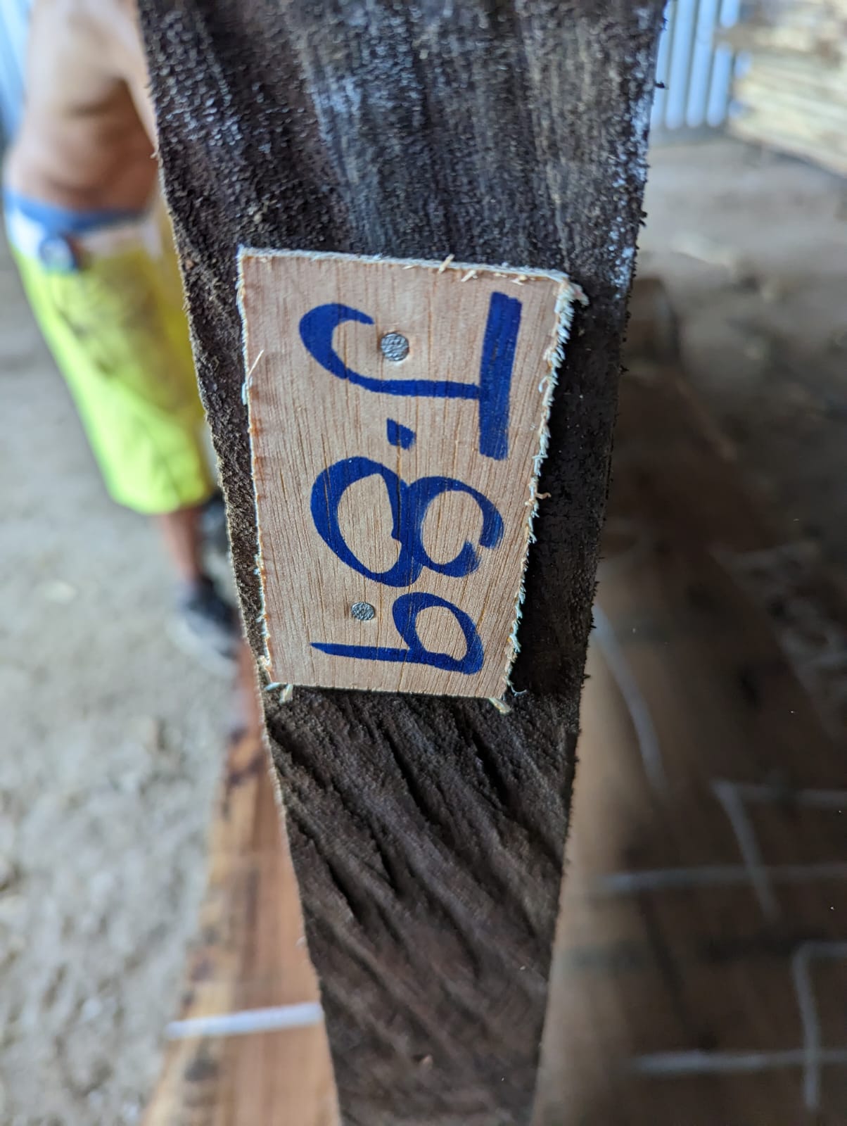 J89