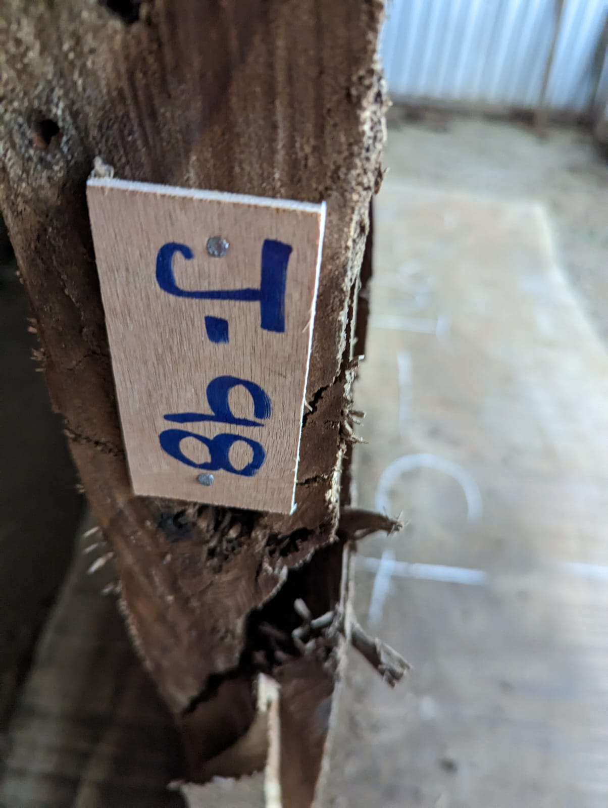 J98