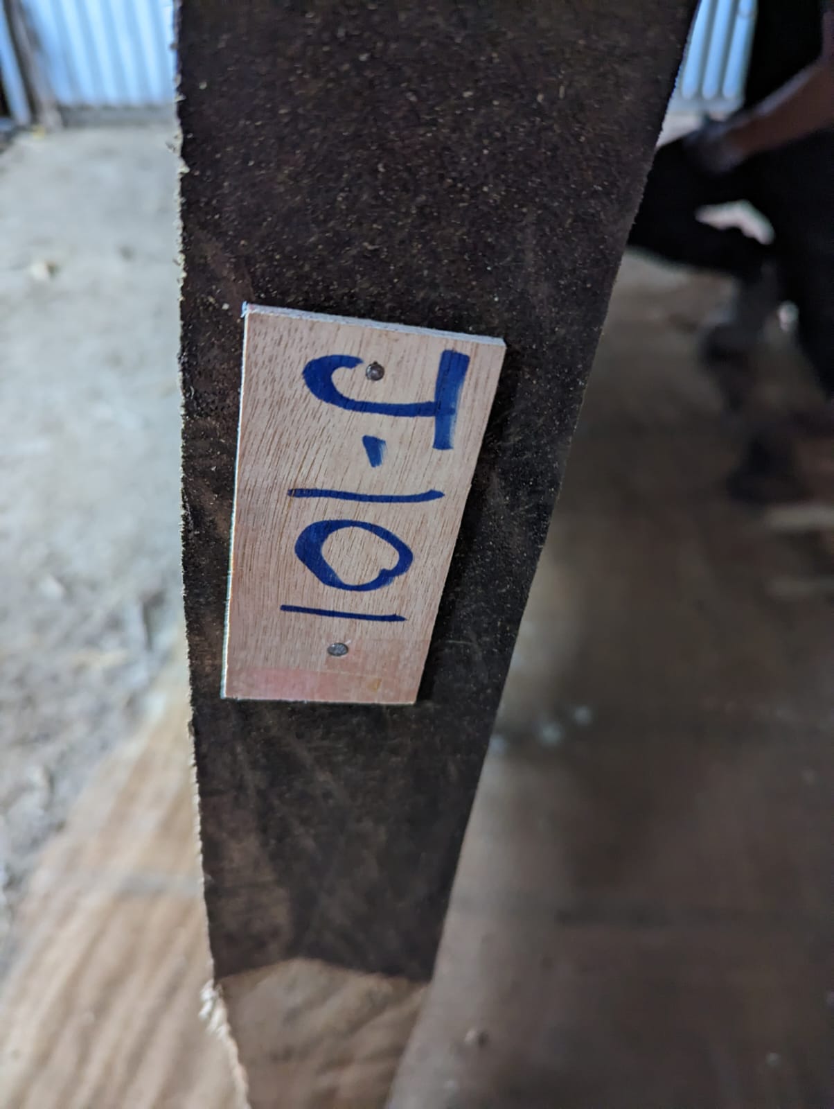 J101