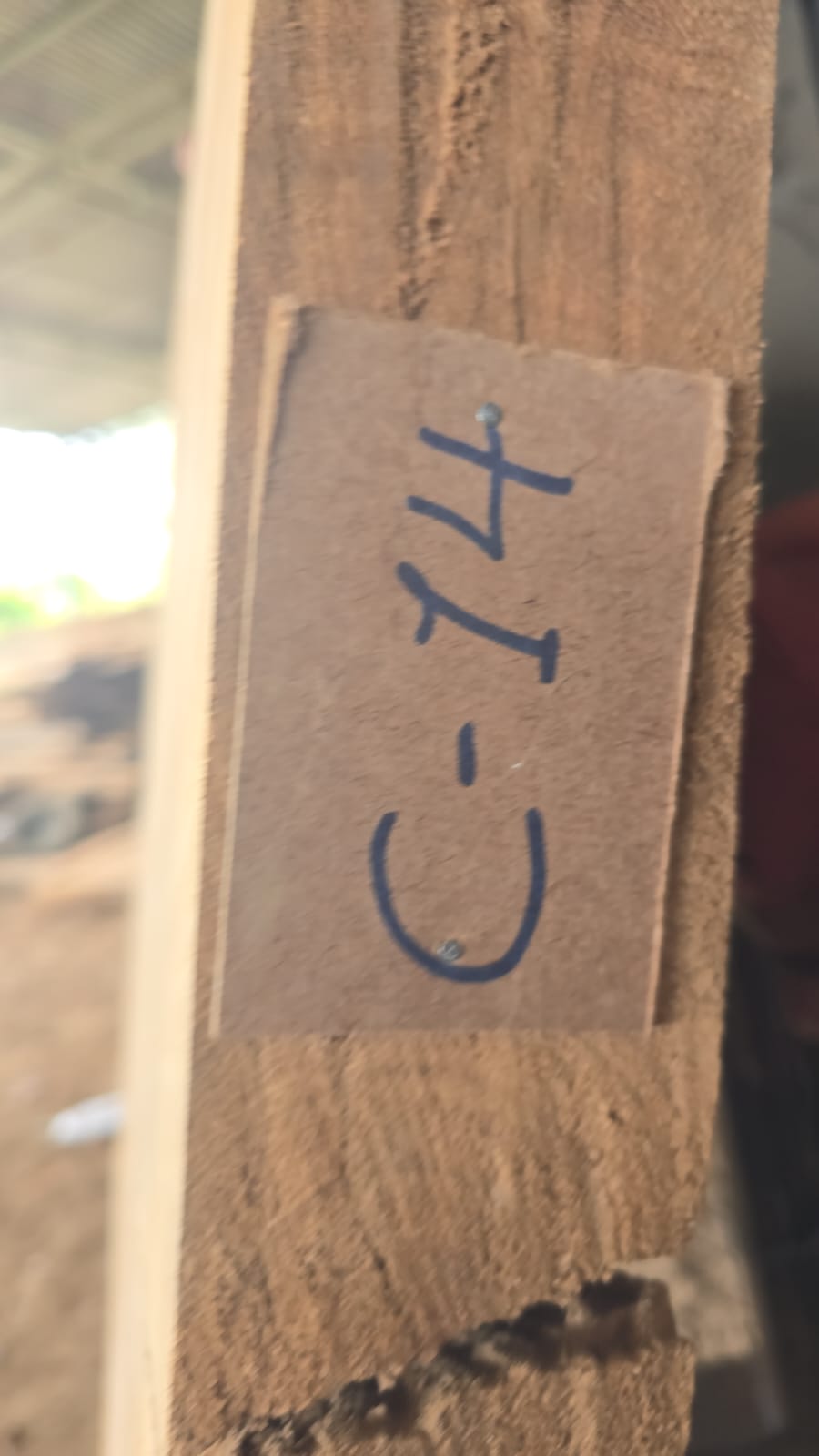 C14