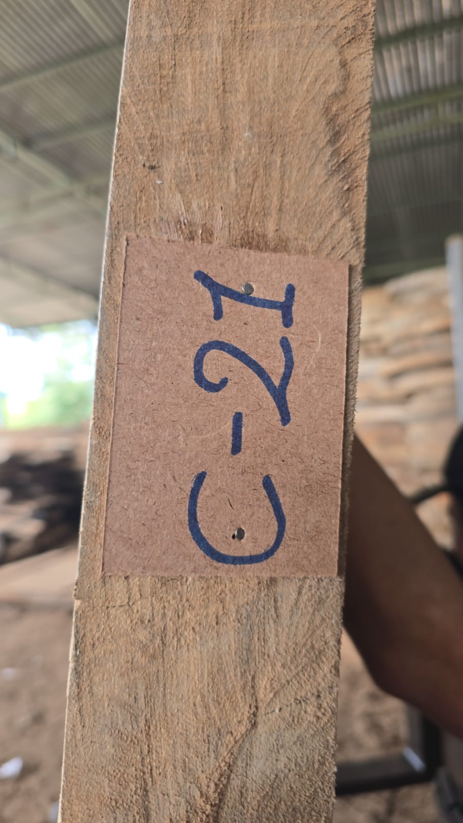C21