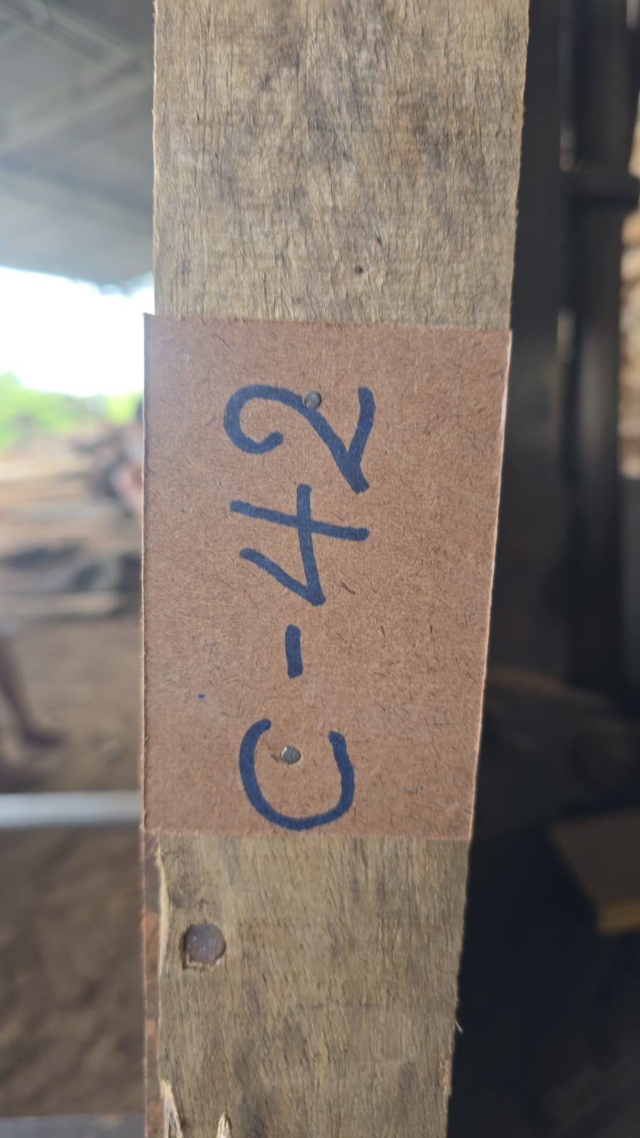 C42