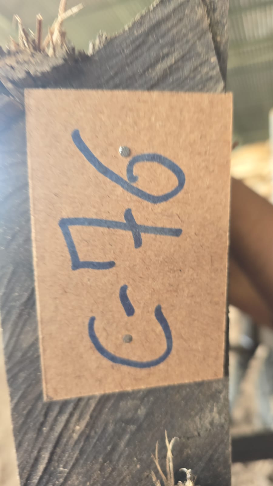 C76