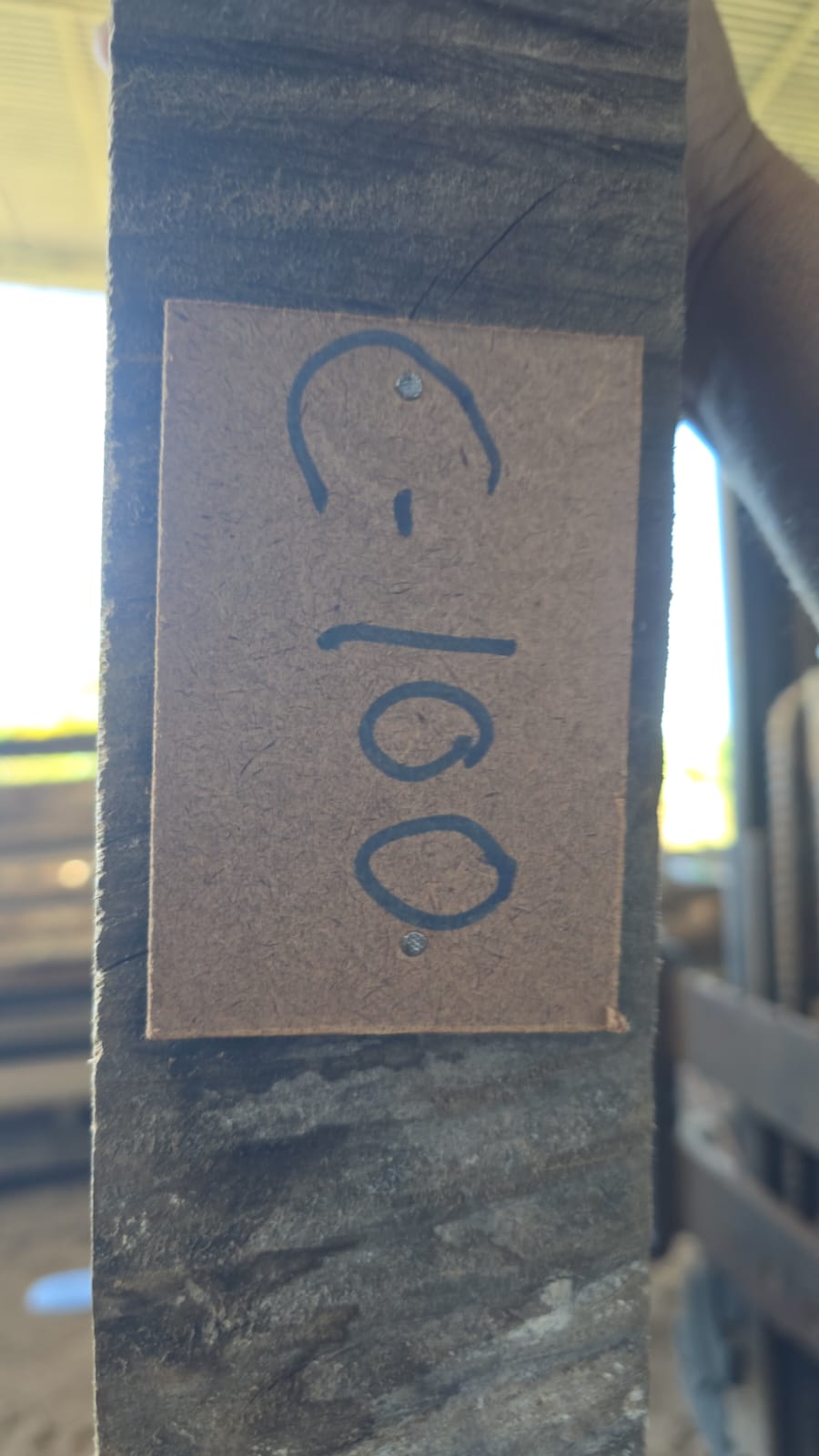 C100