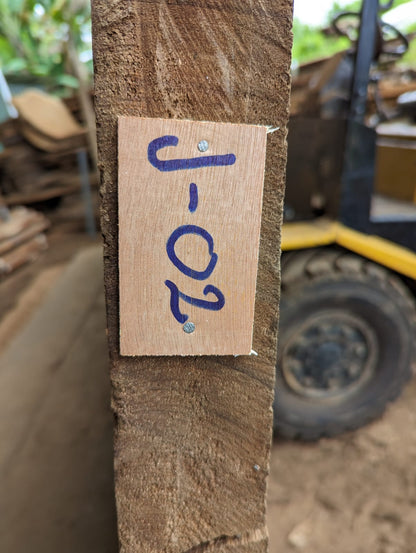 J 02