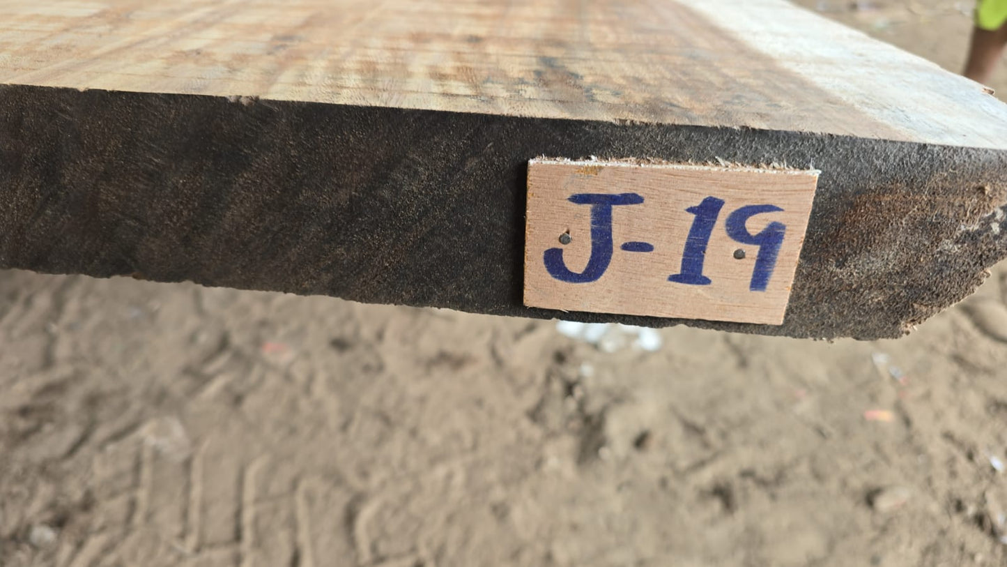 J 19