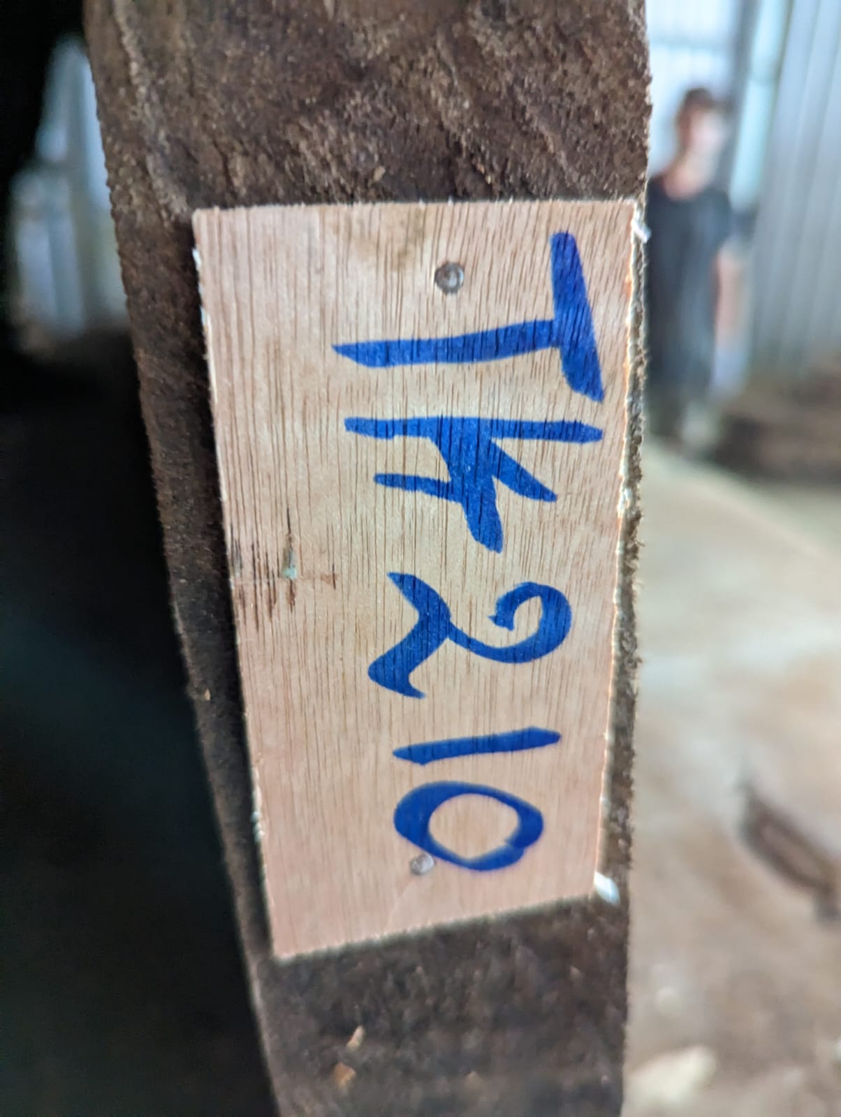 Tk 210