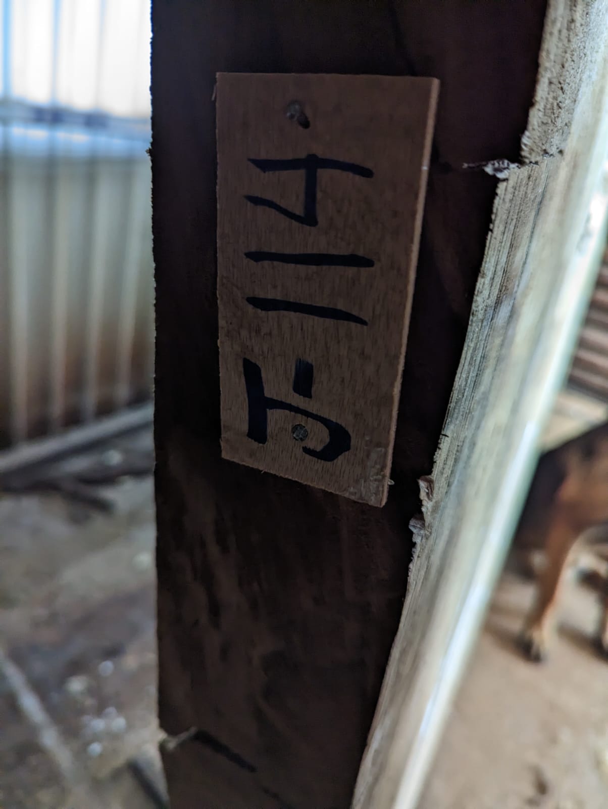 J114
