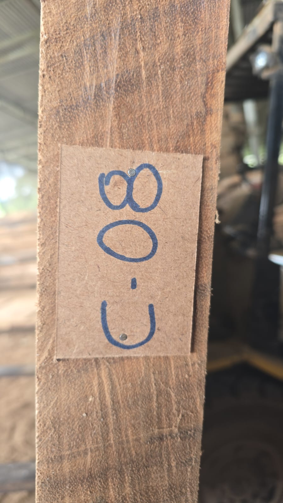 C08