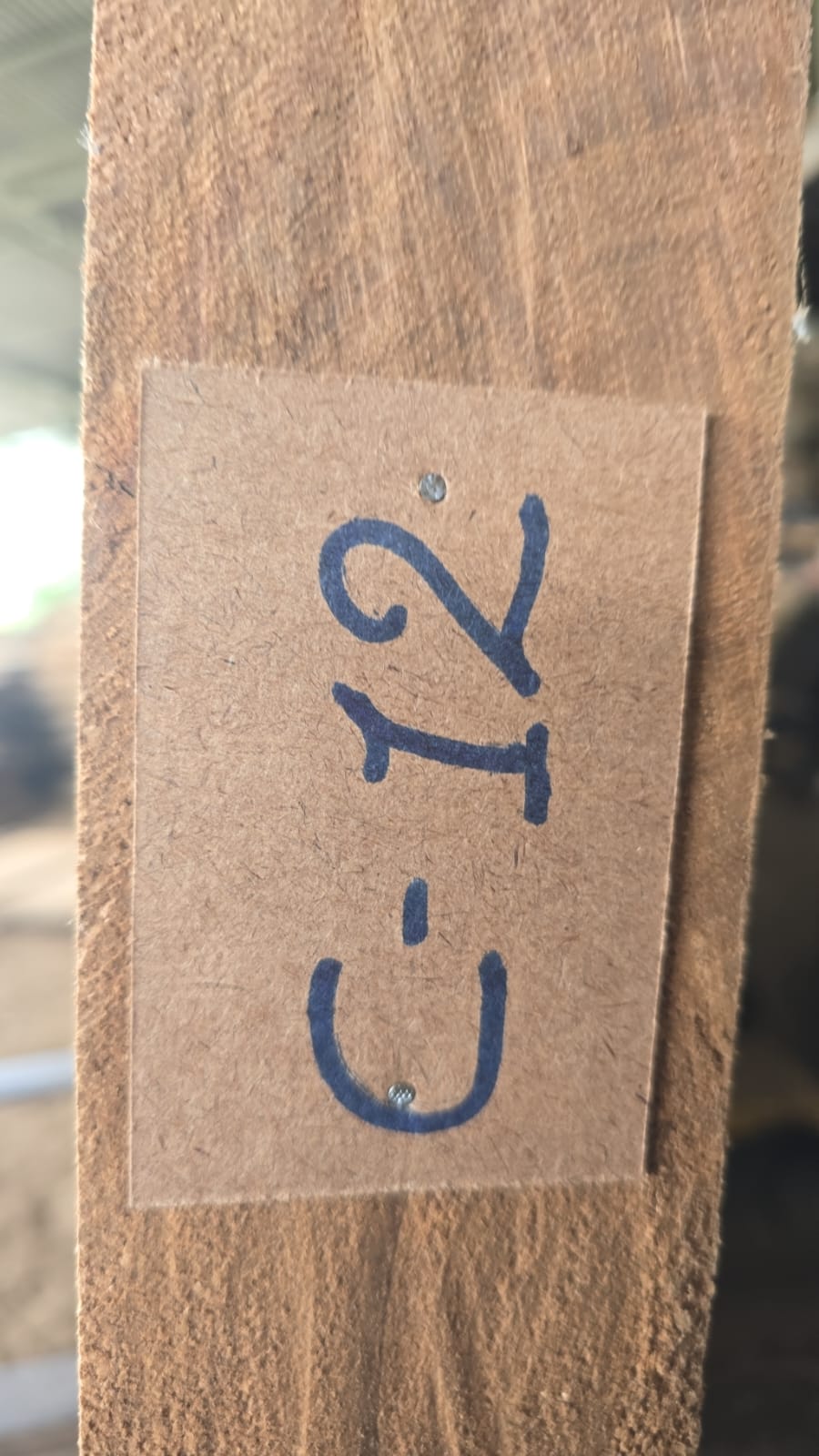 C12