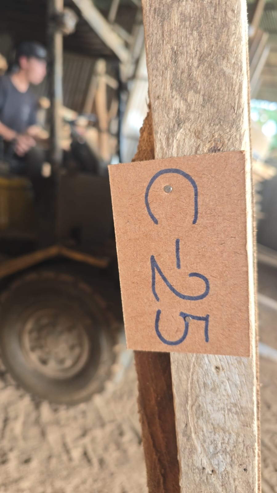 C25