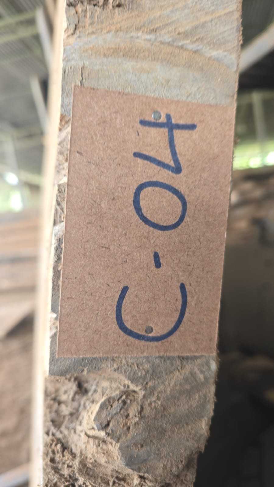 C04