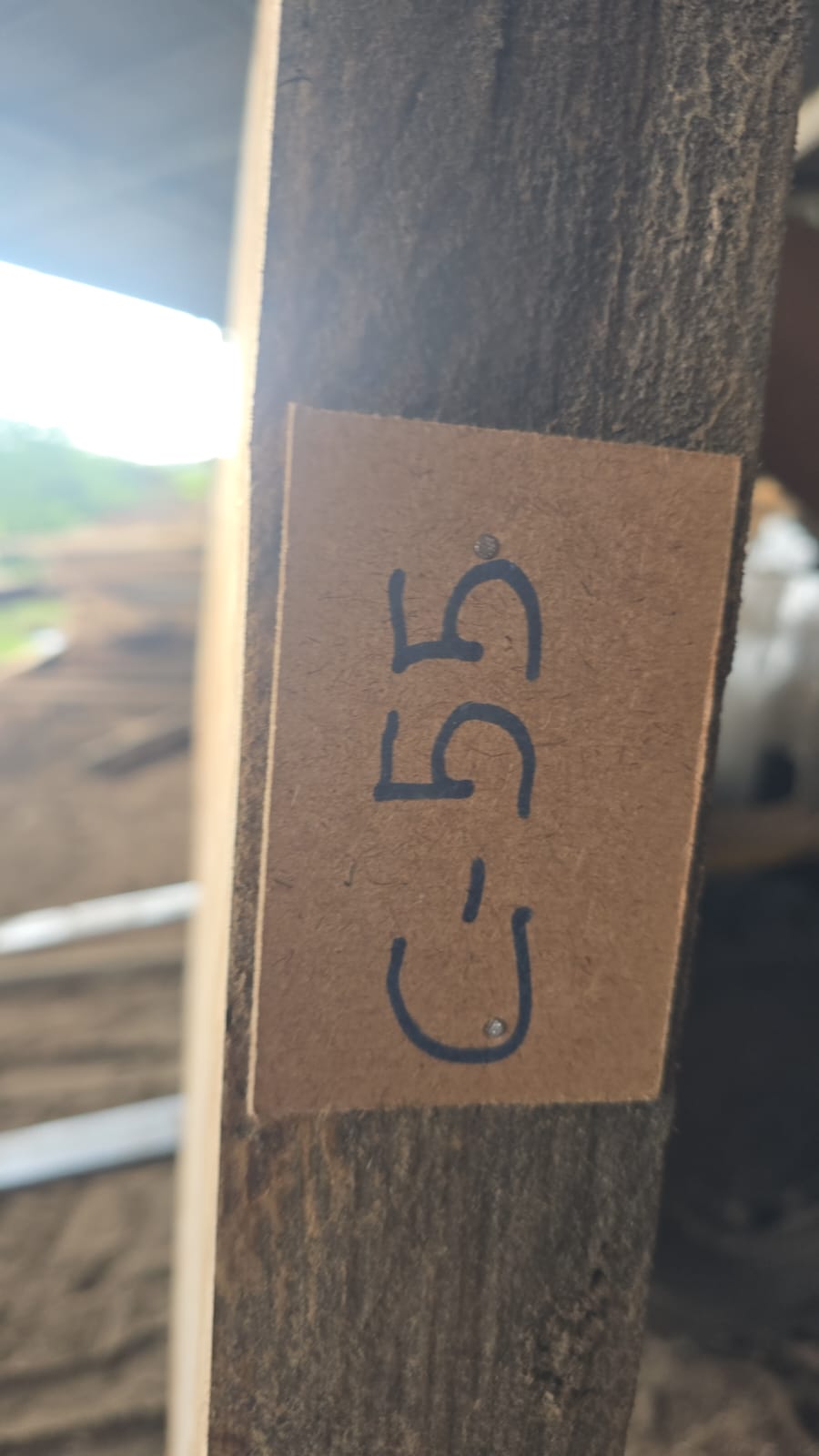 C55