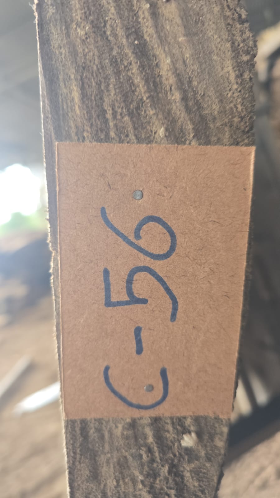 C56