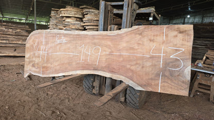 C54