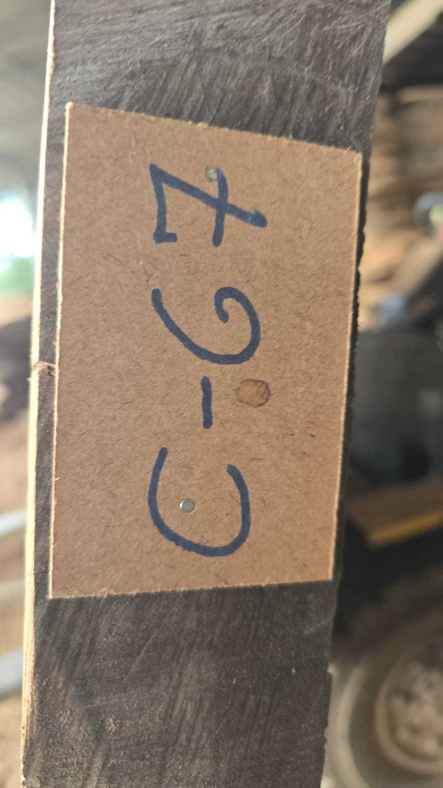 C67