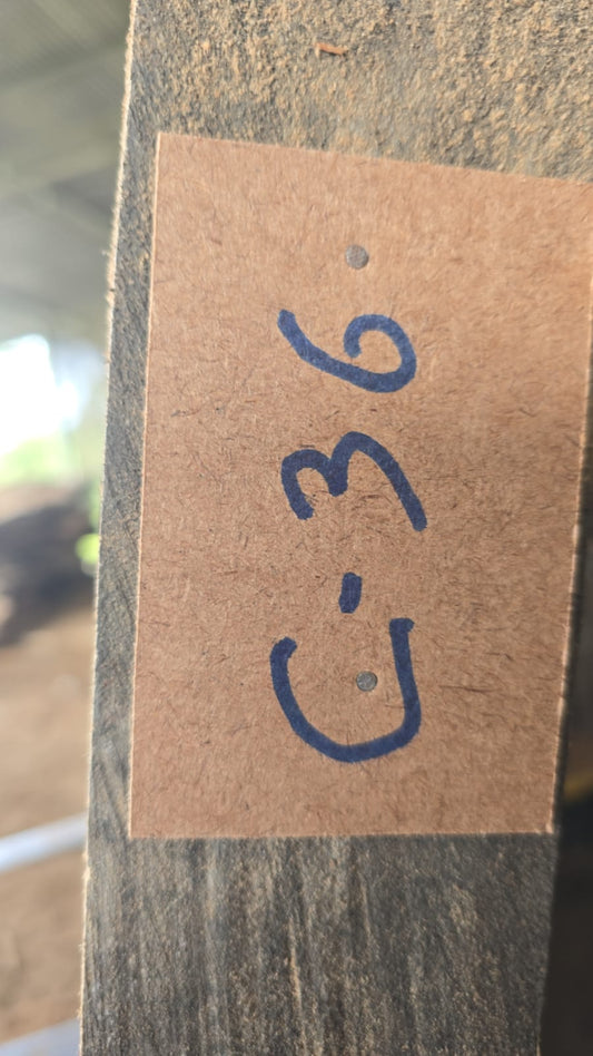 C36