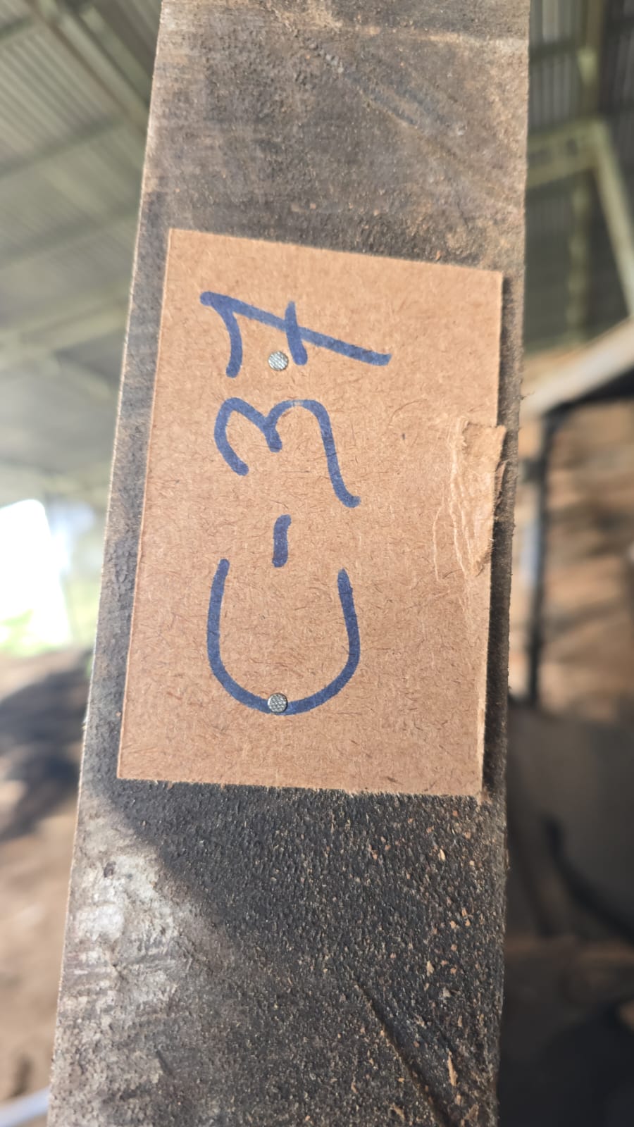 C37