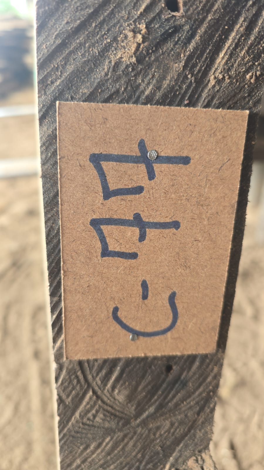 C77