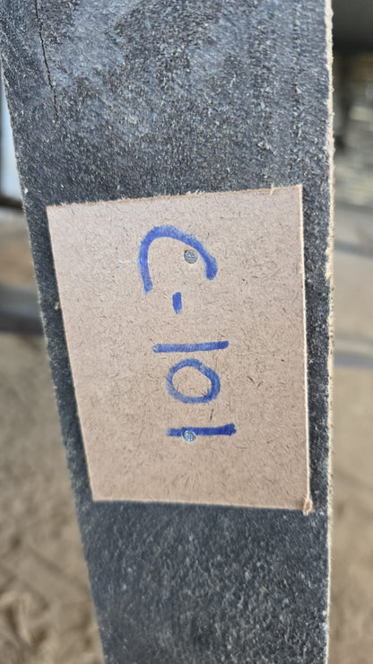 C101