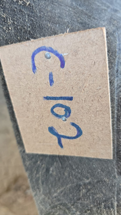 C102
